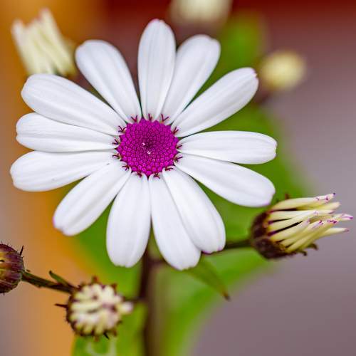 Photo #9004852
