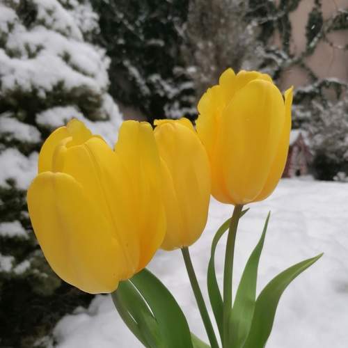 Photo #9004940