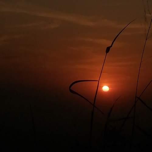 Photo #9004941