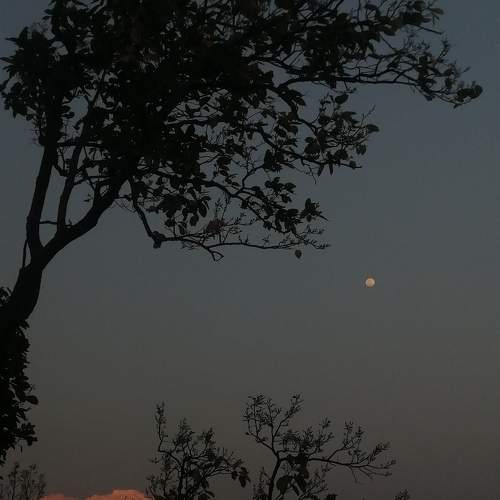 Photo #9004943
