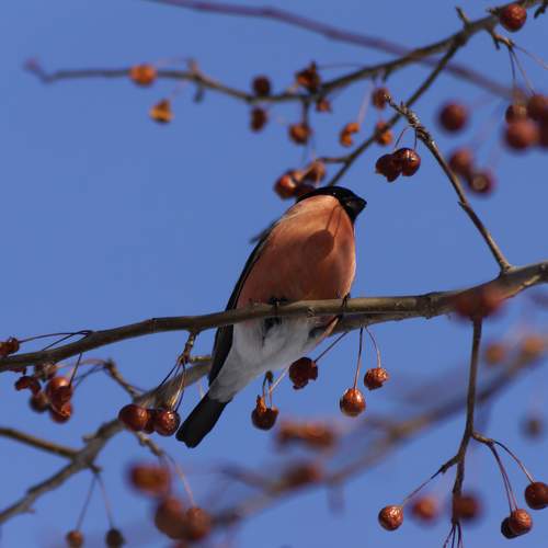 Photo #9005224