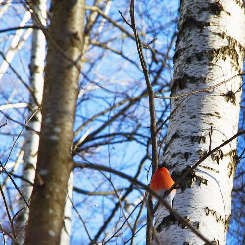 Photo #9005239