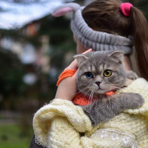Photo #9005327