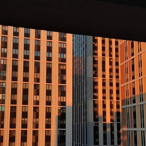 Photo #9005397