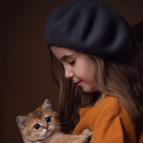 Photo #9005564