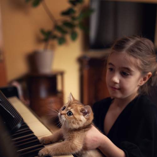 Photo #9005565