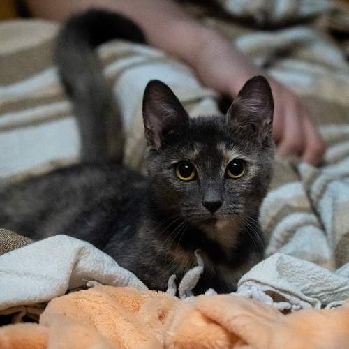Photo #9005616
