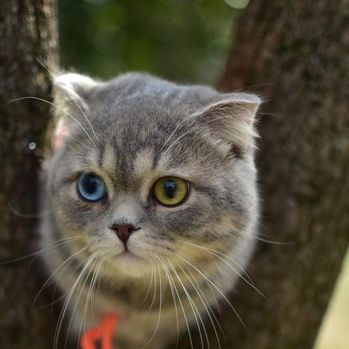 Photo #9005675