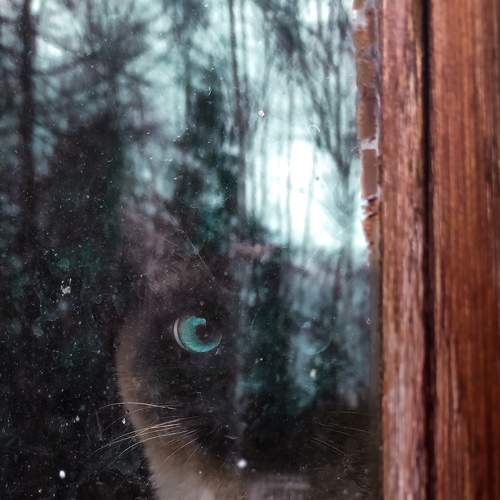 Photo #9005747