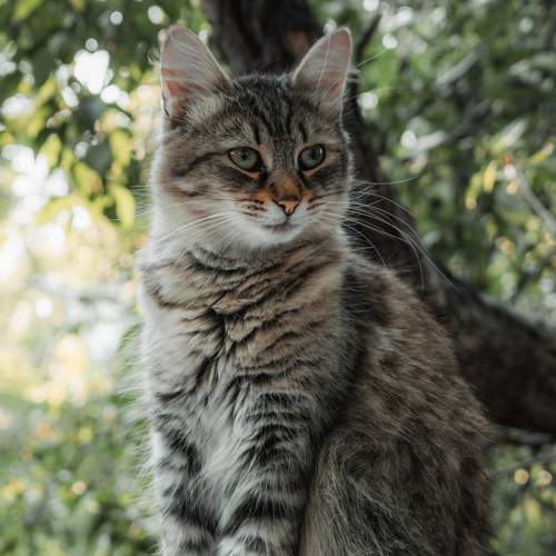 Photo #9005776