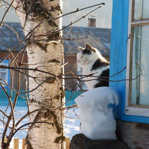 Photo #9005801