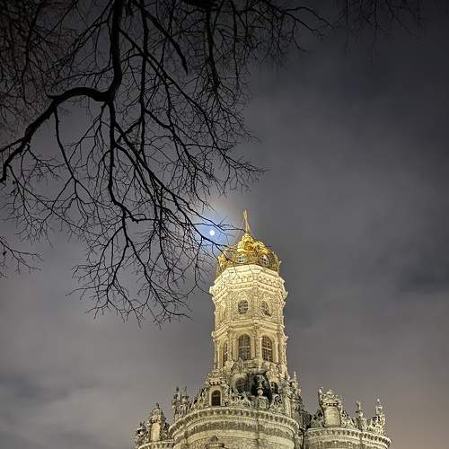 Photo #9006204