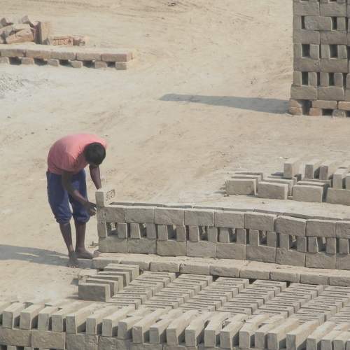 Photo #9006395