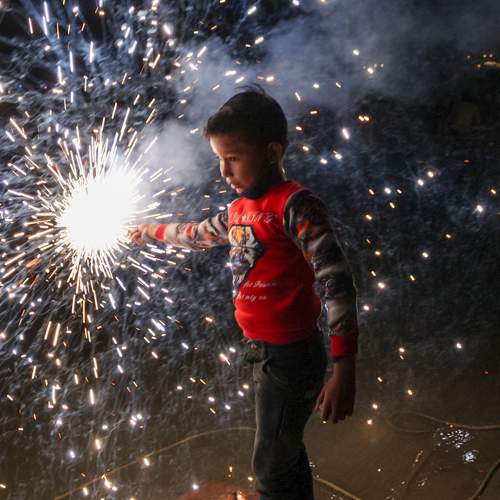 Photo #9006652