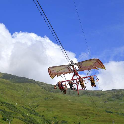 Photo #9006793
