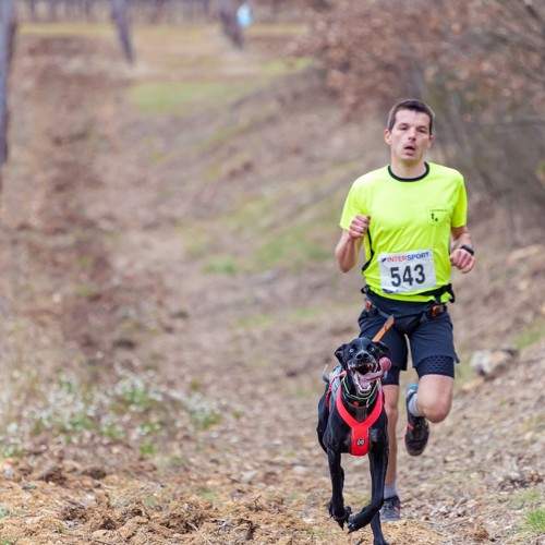 Photo #9006957