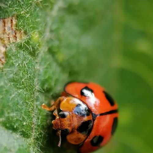 Photo #9006960
