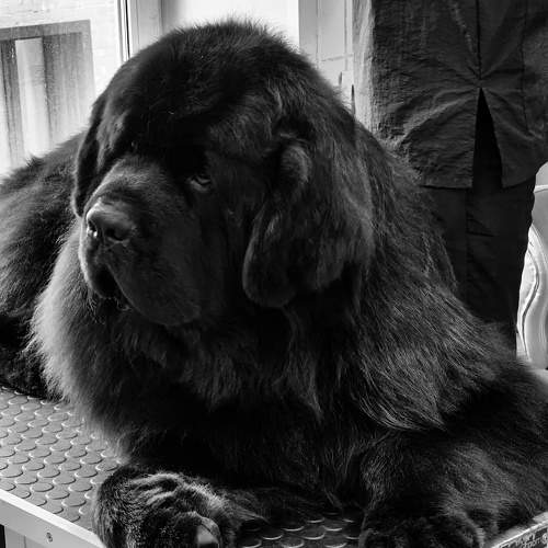 Photo #9007184