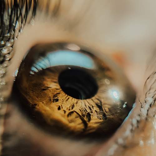 Photo #9007207