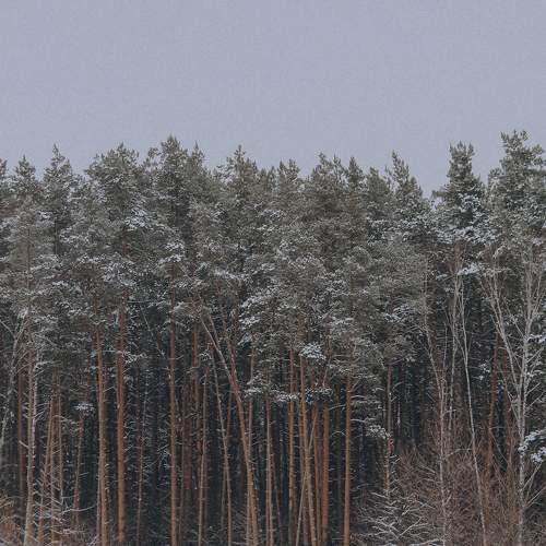 Photo #9007299