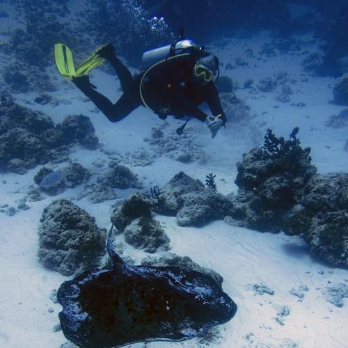 Photo #9007302