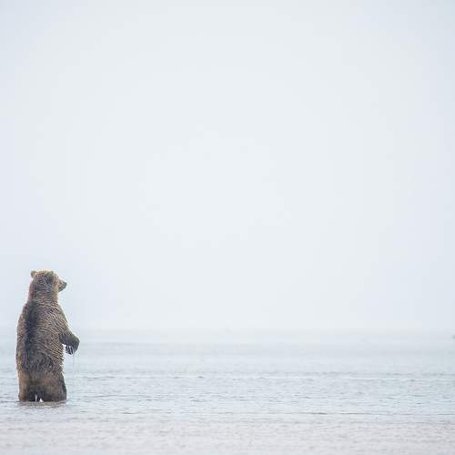 Photo #9007443