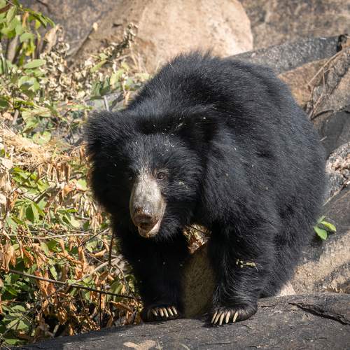 Photo #9007637