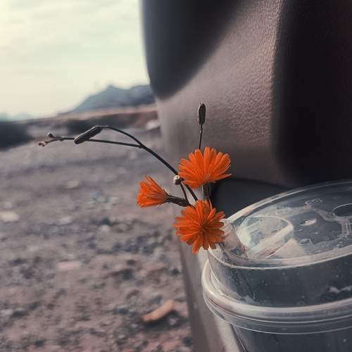 Photo #9007702