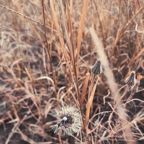 Photo #9007765
