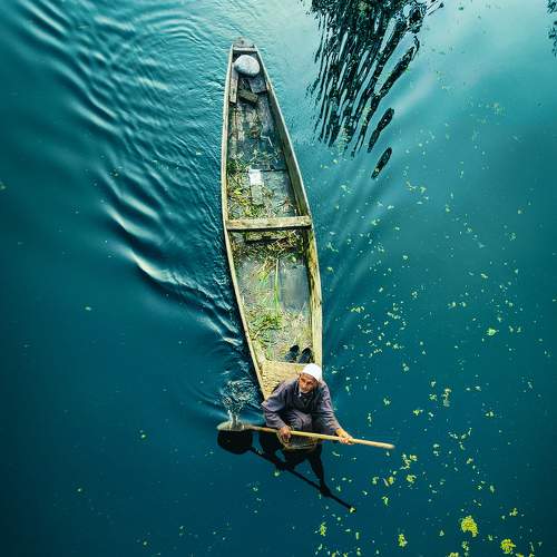 Photo #9007818