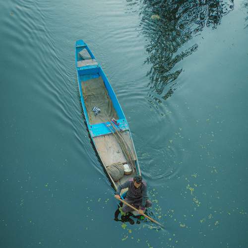Photo #9007819