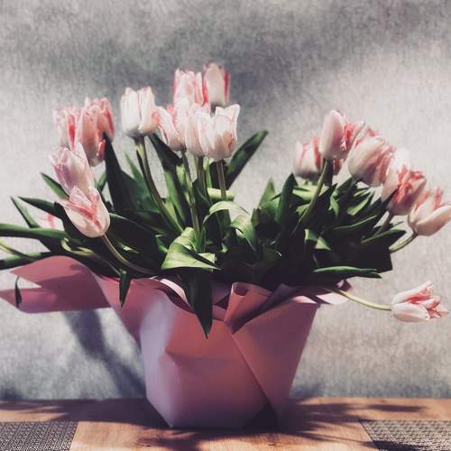 Photo #9007868