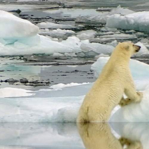 Photo #9007905