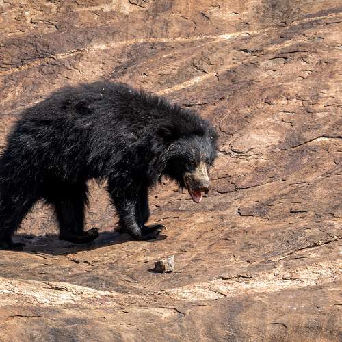 Photo #9007953