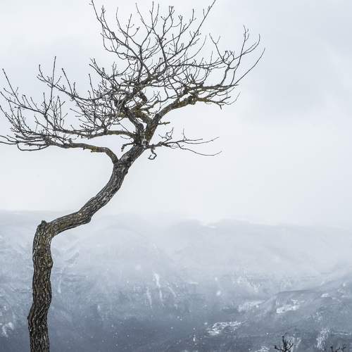 Фотография #9007995