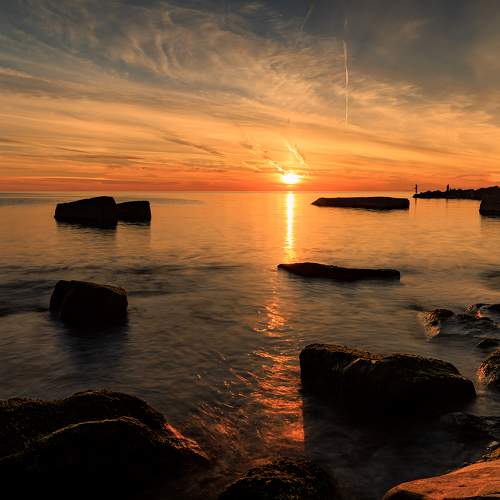 Photo #9008026