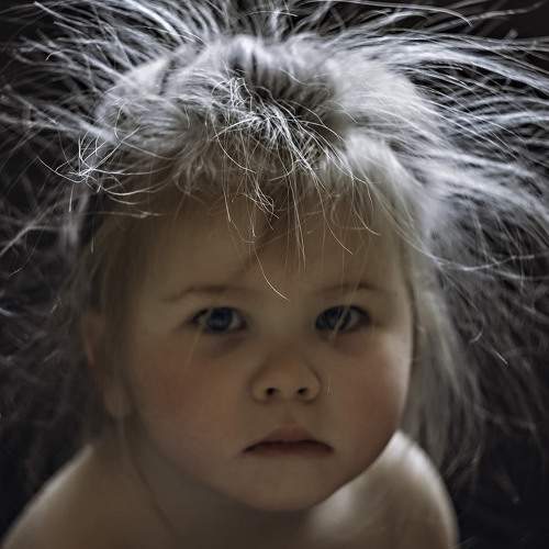 Photo #9008065