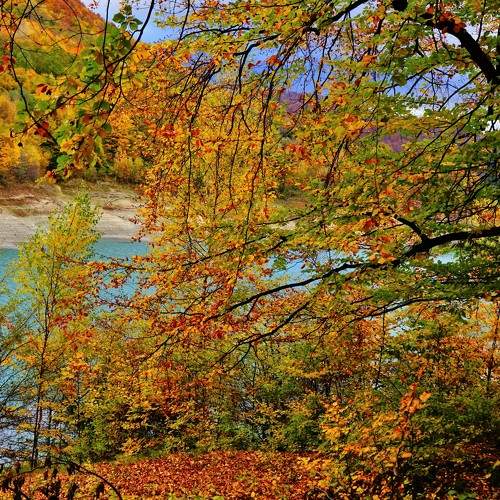 Photo #9008438