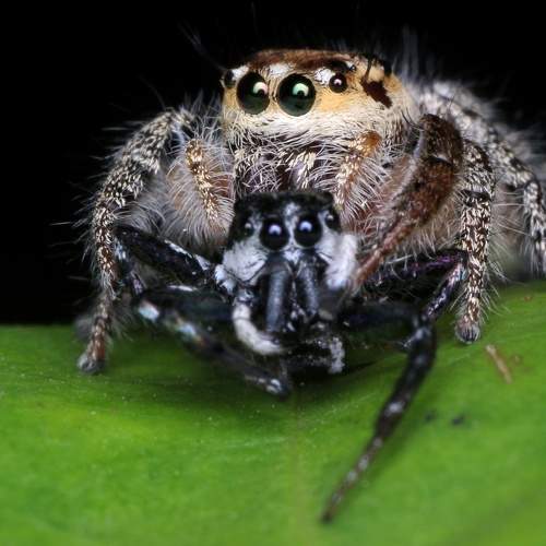 Фотография #9008582