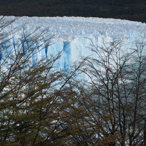 Photo #9008609