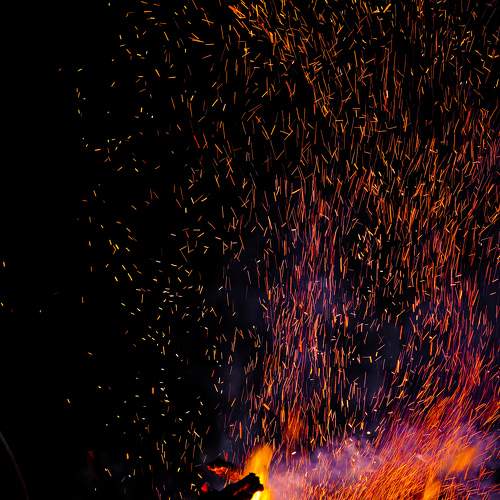 Photo #9008613