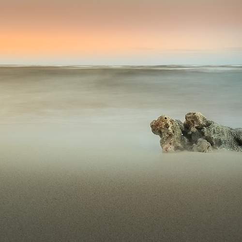 Photo #9008859