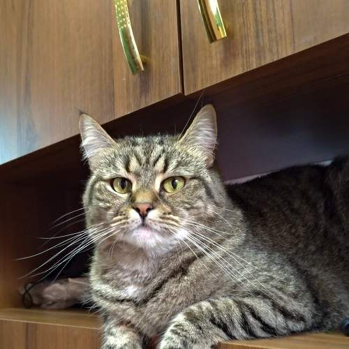 Photo #9008980