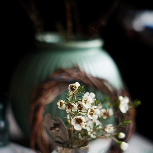 Photo #9009281