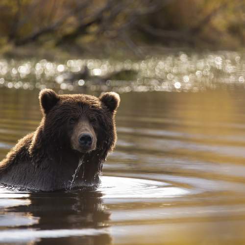 Photo #9009566
