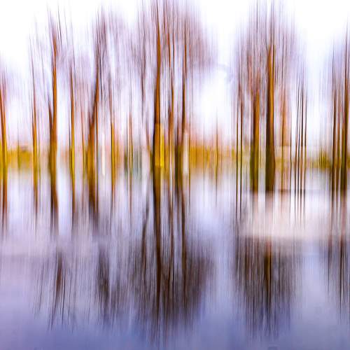Photo #9009744