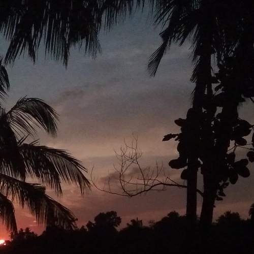Photo #9009955