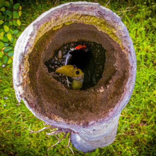 Photo #9010001