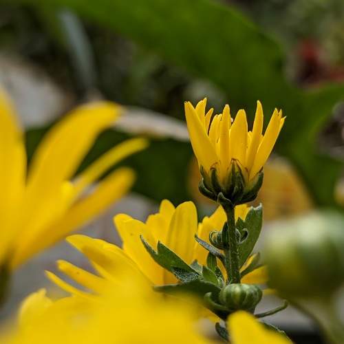 Photo #9010005