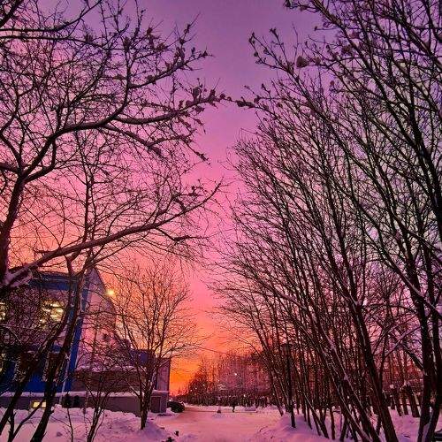 Photo #9010101